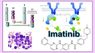 imatinib [upl. by Latsyrc597]