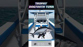 Fishing Planet TROPHY DOGTOOTH TUNA fishing fishingplanet fish fishingtips shortvideo [upl. by Docilu]