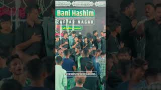 Abbas rida le gaye aada  Haider Ali Shirazi  karbala viralvideo noha subscribe shots 2024 [upl. by Eahsel848]