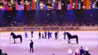 Friesian horse Championship older studbook stallions Hengstenkeuring 2018 faderpaard [upl. by Gilbertson]