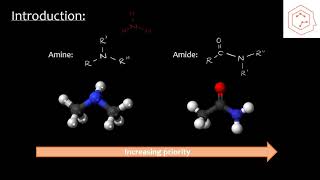 SCH4UGrade 12 Chemistry Amines and amides [upl. by Anileve]