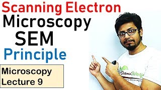 Scanning electron microscope principle working SEM [upl. by Bonnee]