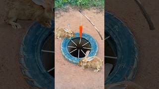 Survival Skills Simple But Very Useful with rabbit deep hole trap shorts survival outdoors [upl. by Squier351]