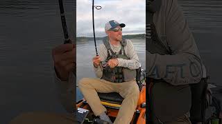 Kayak Fishing for Maine Striped Bass shorts [upl. by Cresida]