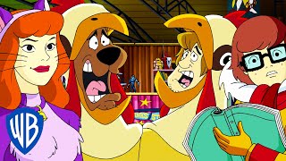 ScoobyDoo  Top 10 ScoobyDoo Movies  WB Kids [upl. by Aitenev221]