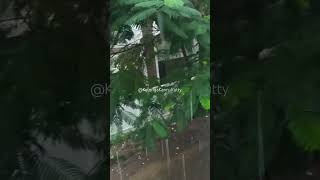 மழை rain Bgm maliye love music song tamilsong Mazhaiye Mazhaiye [upl. by Grishilda683]