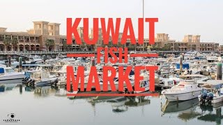 KUWAIT FISH MARKET Largest Fish Market Kuwait [upl. by Einnhoj837]