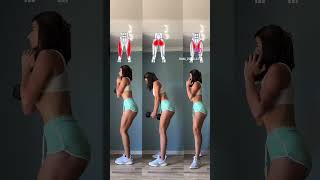 Target Your Butt Outer Thighs amp Inner Thighs with Squat Variations  Optimize Your Leg Day [upl. by Dihaz802]