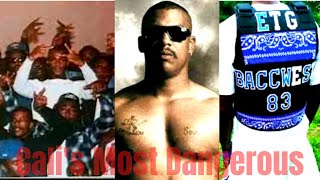 Who are the Eight Tray Gangster Crips One of LAs most well known crip gangs83GC vs Rollin60s [upl. by Ittam339]