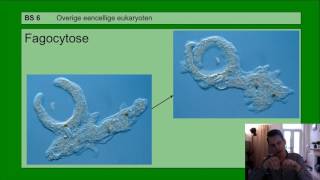 Basisstof 6 Overige eencellige eukaryoten [upl. by Erehc718]