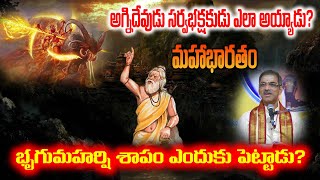 Why did Sage Bhrigu curse Agni  Mahabharatam Telugu  Pravachanam  By Vaddiparti Padmakar Garu [upl. by Notrom]