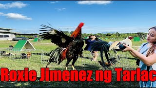 Lets Visit The Farm Of Roxie Jimenez ng Tarlac [upl. by Anedal774]