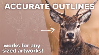 How to Create the ACCURATE OUTLINES From a Reference Photo  For Any Sized Artworks [upl. by Supple]