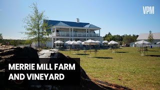 Merrie Mill Farm and Vineyard located in Keswick Virginia offers a unique experience [upl. by Yrocal]