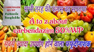 Carbendazim 50WP fungicide  कारबेंडाज़िम 50 डब्ल्यू पी फफूंदीनाशक  bagwanikibaat [upl. by Kared]