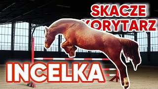 SKOKI W KORYTARZU HORSEONBOARD VLOG [upl. by Bendix687]