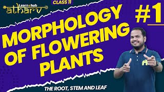 Morphology of Flowering Plants Class 11 Biology NCERT Chapter 5 1  Root Stem Leaf  Atharv Batch [upl. by Llerdnek]