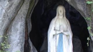 rosary from Lourdes 29th october 2014 [upl. by Flossie]