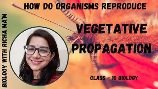 VEGETATIVE PROPAGATION  NATURAL AND ARTIFICIAL METHODS WITH EXAMPLES  CLASS 10  BIOLOGY NOTES [upl. by Norym]