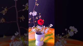 Red Rose and White Plum Blossom flowerarrangment [upl. by Kent86]