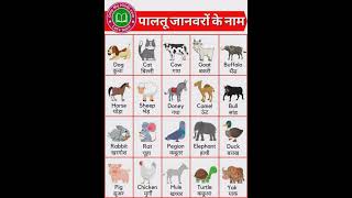 Domestic Animals name in English and Hindi [upl. by Ilyse]