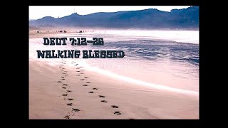 Dt 7 12 26 Walking blessed [upl. by Nolyar805]