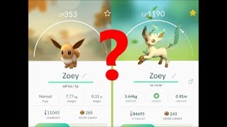 Pokémon Go  SECRET Leafeon confirmed [upl. by Sivia]