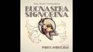 Dj Pony Montana feat Swingrowers  Buonasera Signorina  HQ [upl. by Krissy]