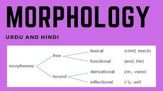 Morphology  Morpheme  Bound  Free  Lexical  Functional  Inflectional  Derivational Analysis [upl. by Newhall399]