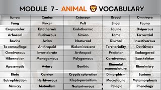 ANIMAL VOCABULARY FOR IELTS [upl. by Ginsberg]