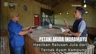 Keren  Petani Muda Indramayu Hasilkan Ratusan Juta Dari Ternak Ayam Kampung [upl. by Nonac]