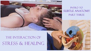 Pain Relief Healing amp the Stress Response  Intro to Subtle Anatomy Part 3 [upl. by Arturo]