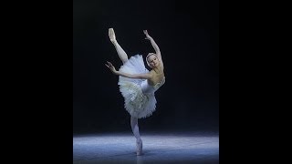 The Dying Swan  Radka Prihodova 2013 Costa Rica [upl. by Avin]