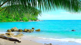 🌴 Tropical Beach Ambience on a Island in Thailand with Ocean Sounds For Relaxation amp Holiday Feeling [upl. by Antoine864]