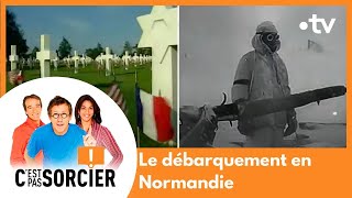 Le débarquement en Normandie  Cest pas sorcier Intégrale [upl. by Akilat]