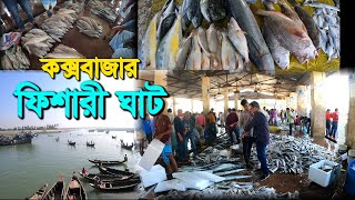 Vlogs147  কক্সবাজার বিশাল মাছের আড়ৎ এ হরেক রকম মাছ  Chaka Bazar  Coxs bazar fishery ghat 2024 [upl. by Addia]