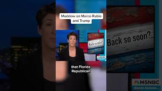 Maddow on Marco Rubio and Trump [upl. by Tatiana]