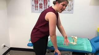 What is Subacromial Impingement Exercises for Shoulder Impingement [upl. by Carbrey]