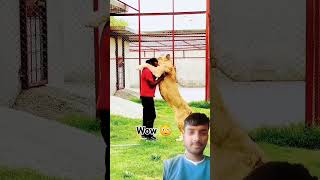 Wow 😯 dog dog doglover animals lion love song music bollywood hindisong bollywoodsongs [upl. by Halford]