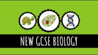 Pathogens and Disease  91 GCSE Biology [upl. by Norean]