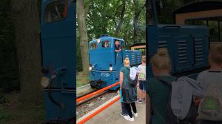 Wenn das Konzertgelände eine eigene Bahn hat 🤩🚂 shorts geolino festival berlin eisenbahn [upl. by Medorra568]