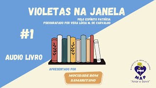 Áudio livro  Violetas na janela  Capítulo 1 [upl. by Ahsimal]