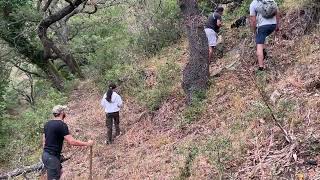 Truffle hunting near Bracciano Italy June 2024 [upl. by Pavia]