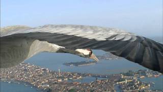 Flying Alongside Common Cranes Over Venice [upl. by Missy623]