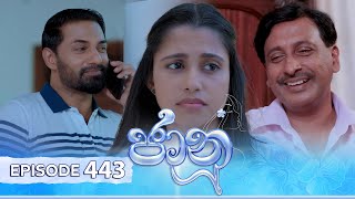 Jaanu  Episode 443  20241105  ITN [upl. by Irrol95]