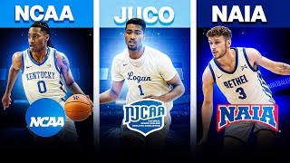 The Different Levels of College Basketball Explained D1D2D3NAIAJUCO [upl. by Tay532]