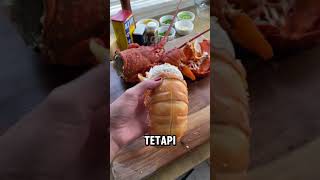 KEKUATAN CAPIT LOBSTER🥶 [upl. by Jacy377]