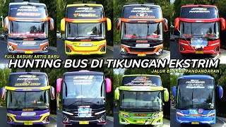 mobil bus telolet quartet bravo Sierra Bumblebee dkk shanum UPJ BS GUVILLI safana Eleganza DLL [upl. by Ridglee]