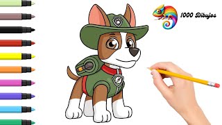 COMO DIBUJAR A TRACKER de PATRULLA CANINA 🐕‍🦺🤠PAW PATROL ✨🎨 Aprende a dibujar🏩🛤️ Dibujos Fáciles [upl. by Nara]