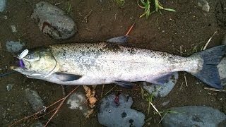 Frugal Fisherman Episode 1  Making Weighted Casting Spinners for Salmon and Steelhead [upl. by Varick]